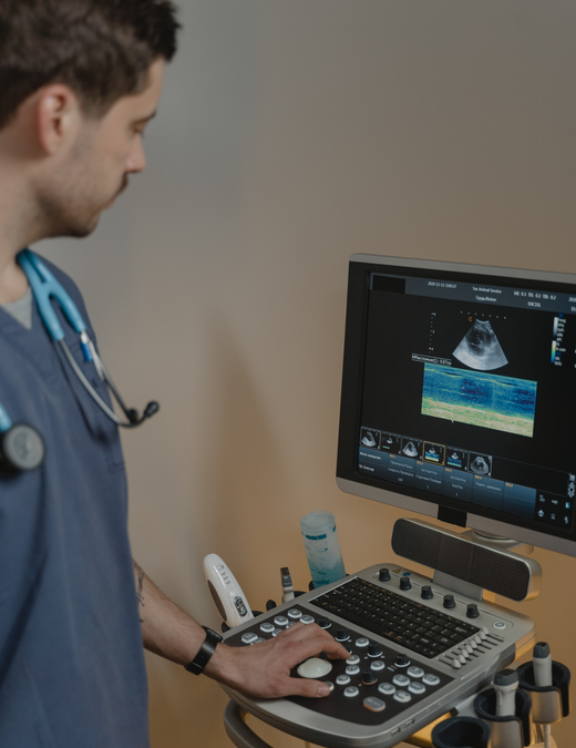 Herriot Veterinary Physiotherapy