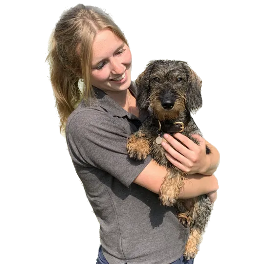 Herriot Veterinary Physiotherapy