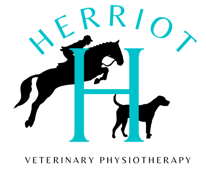 Herriot Veterinary Physiotherapy 