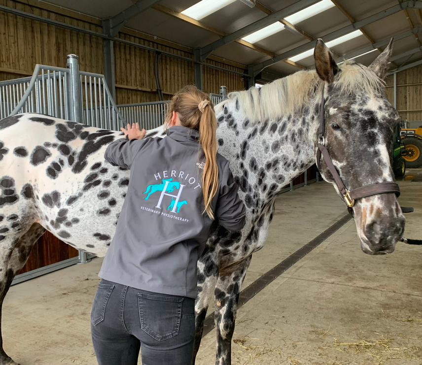 Herriot Veterinary Physiotherapy
