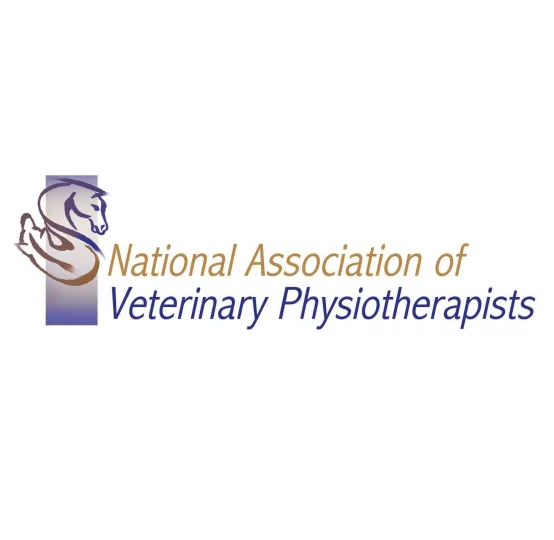 Herriot Veterinary Physiotherapy